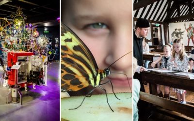 Joint School Discounts with Stratford Butterfly Farm + Shakespeare’s Schoolroom & Guildhall