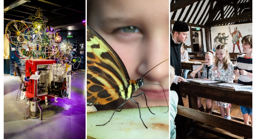 Joint School Discounts with Stratford Butterfly Farm + Shakespeare’s Schoolroom & Guildhall